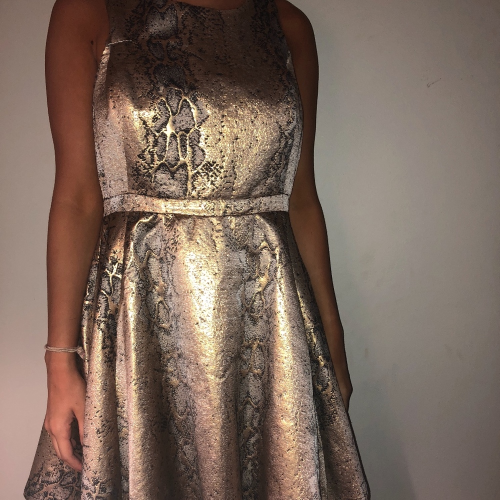 Metallic Snake Print Dress